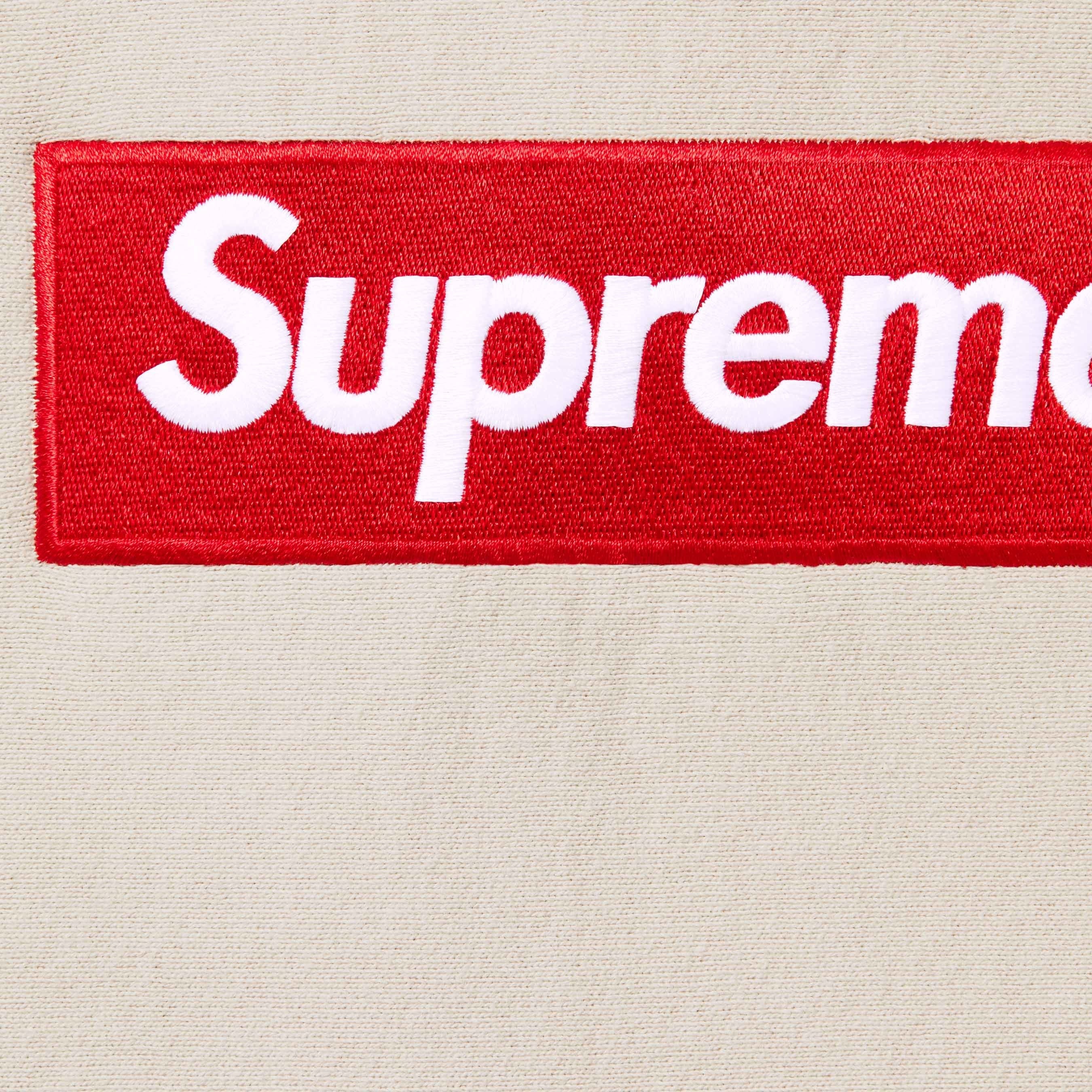 Box Logo Hooded Sweatshirt view 19